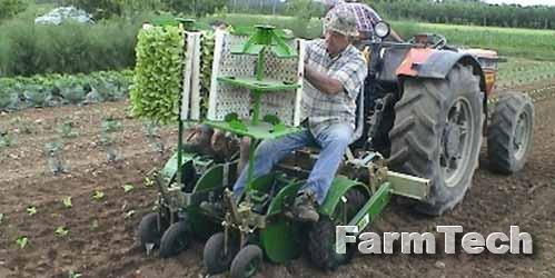 Машина рассадопосадочная полуавтоматическая для мульчированной почвы Sfoggia Plantec STD/3