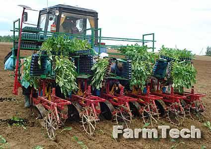 Машина рассадопосадочная Техмаш МР-6