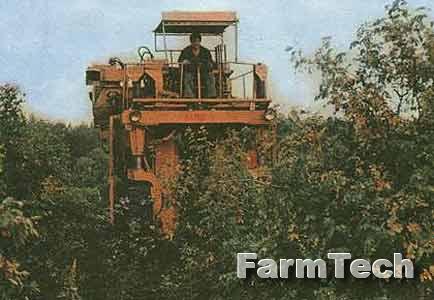 Комбайн для уборки плодов шиповника Агромашина МПШ-1