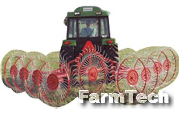 Грабли колесно-пальцевые Зарем Солнце IMT 627.652