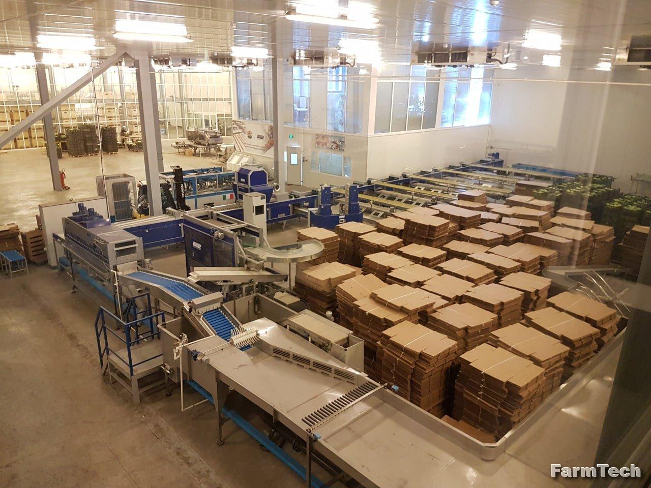 Сортировочная и упаковочная линия UNICAL