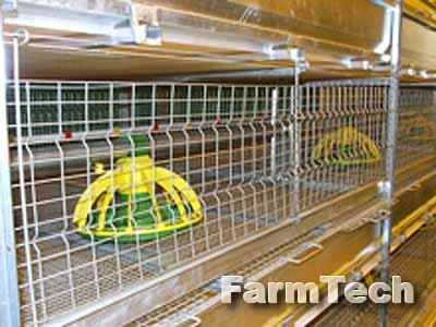 Оборудование для выращивания бройлеров Техна ТББ-В