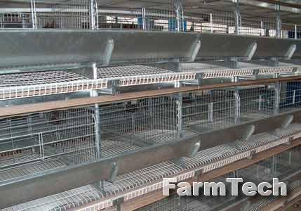 Оборудование клеточное для выращивания промышленного стада кур-несушек НЗСМ ОКН-Ш