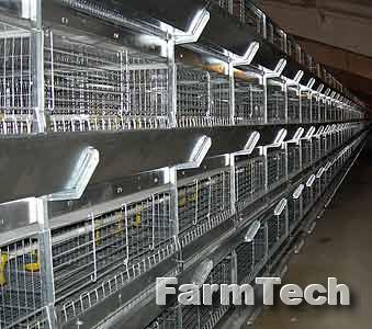 Оборудование клеточное для выращивания ремонтного молодняка кур-несушек НЗСМ ОАРМ