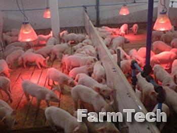 Оборудование для доращивания и откорма свиней Техна СТО