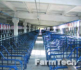 Оборудование для содержания маточного поголовья свиней Техна СТС