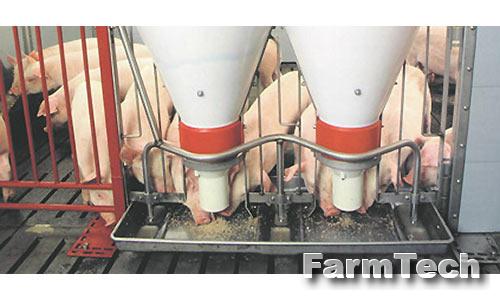 Оборудование станочное для поросят-отъёмышей ГОСНИТИ