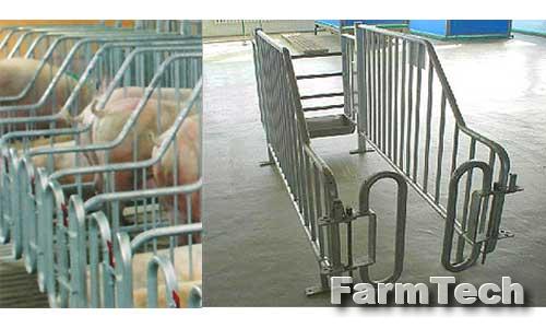 Станок для безвыгульного индивидуального содержания ГОСНИТИ