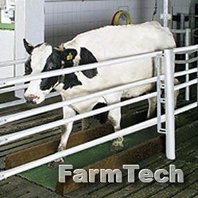 Весы GEA Taxatron 5000