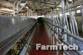 Зал доильный Агромолтехника Европараллель