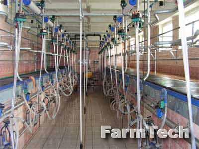 Зал доильный Агромолтехника Елочка