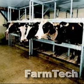 Зал доильный типа Бок-о-бок GEA Comfort M