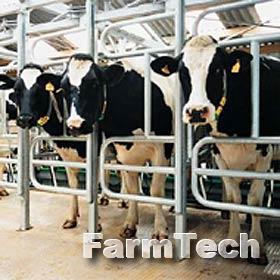 Зал доильный типа Бок-о-бок GEA Johanna