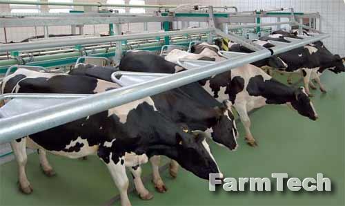 Зал доильный типа Ёлочка GEA Challenger 45