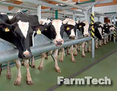 Зал доильный типа Ёлочка GEA EuroClass 800 ... 800 RE