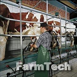 Зал доильный типа Ёлочка GEA Europa 1200