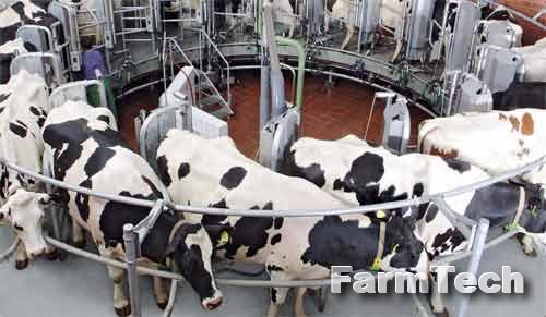 Зал доильный типа Карусель GEA AutoRotor