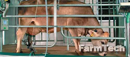 Зал доильный типа Тандем GEA AutoTandem