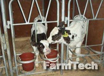 Клетка для индивидуального содержания телят Ремтехмаш