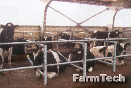 Оборудование стойловое для коровника беспривязного содержания Могилевлифтмаш КСО
