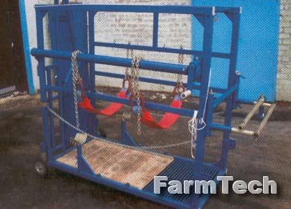 Станок для обработки копыт Могилевлифтмаш СОК