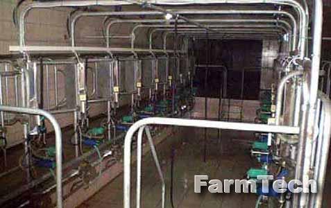 Установка для доения коров в доильных залах Брацлав Елочка УДЕ-16