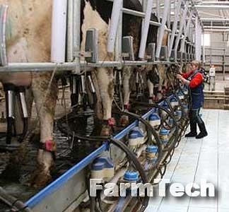 Установка доильная автоматизированная типа ЧВМЗ Ёлочка УДЕ-М