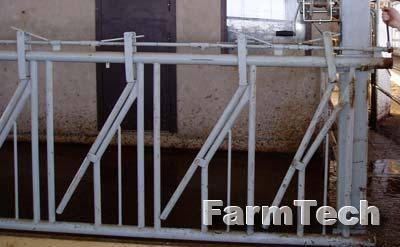 Фиксатор шейный групповой Иж-Лайн Хедлок